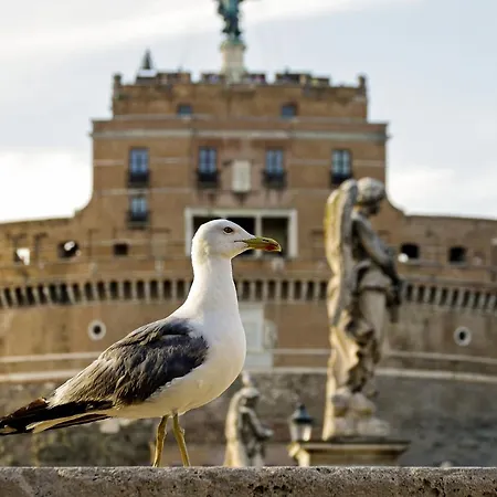 Πανσιόν Vatican